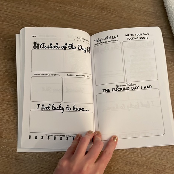 COPY - Sassy Gratitude Journal - Picture 4 of 5